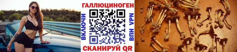 Псилоцибиновые грибы Magic Shrooms  как найти   Островной 