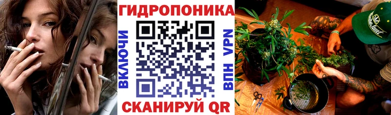 Бошки Шишки семена  Островной 